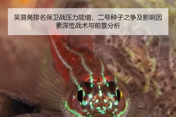 吴易昺排名保卫战压力陡增，二号种子之争及影响因素深度战术与前景分析